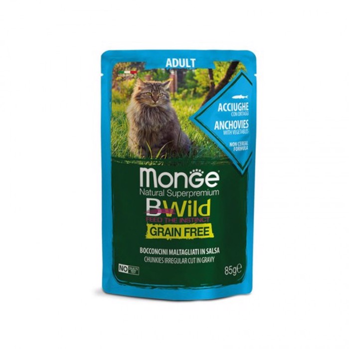 Monge BWild Fakelaki Gtas Grainfree Guros - Laxanika  Se Saltsa 85g